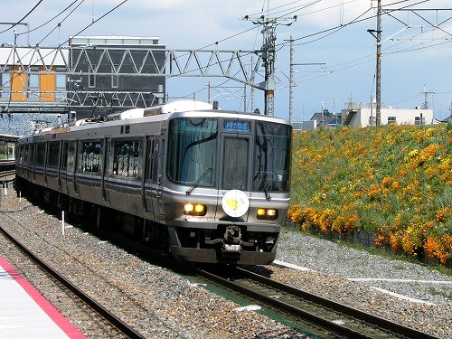 sc25mk-005.jpg