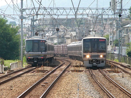 sakurashukugawa-004.jpg