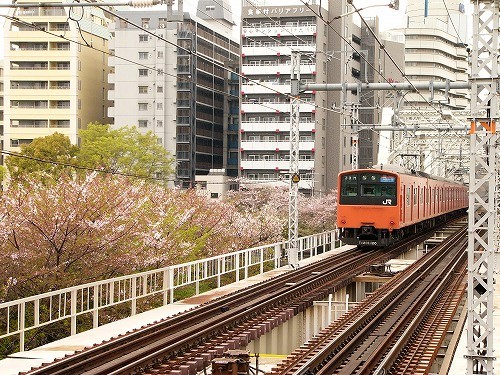桜ノ宮２００８春　３.jpg