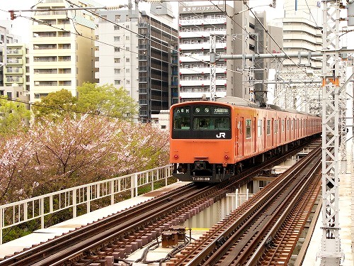 桜ノ宮２００８春　１.jpg