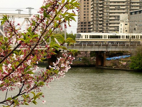 桜ノ宮２００８春　８.jpg