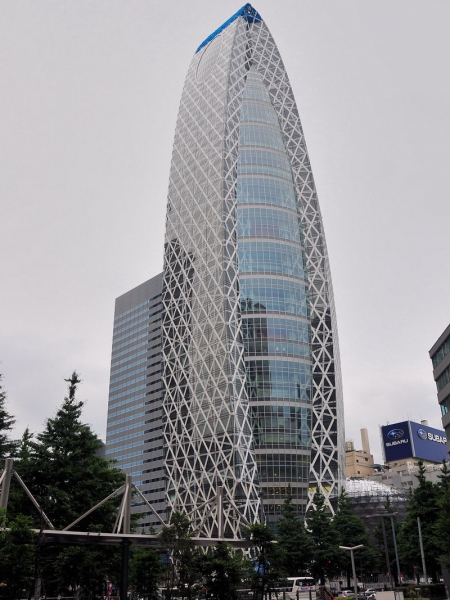 鸟巢+鸟蛋.jpg