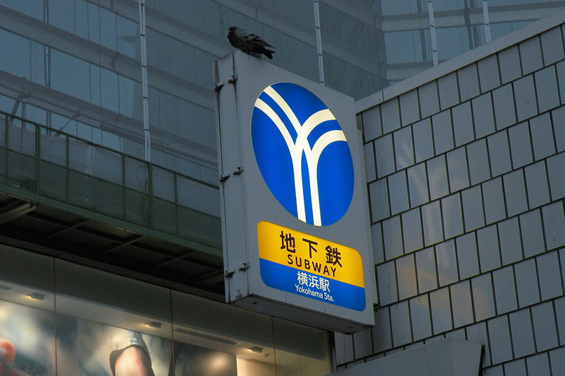 大农村也有地铁，也是一条，上面还趴只老鸹_resize.jpg