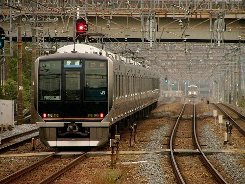 島本０６.jpg