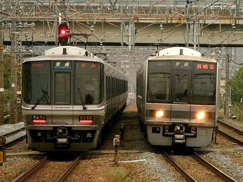 島本１２.jpg
