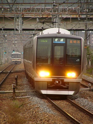 島本２０.jpg