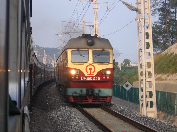 DF4D 0239(B).jpg