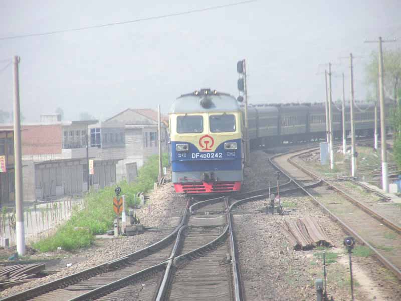 DF4D 0242(Blue).jpg