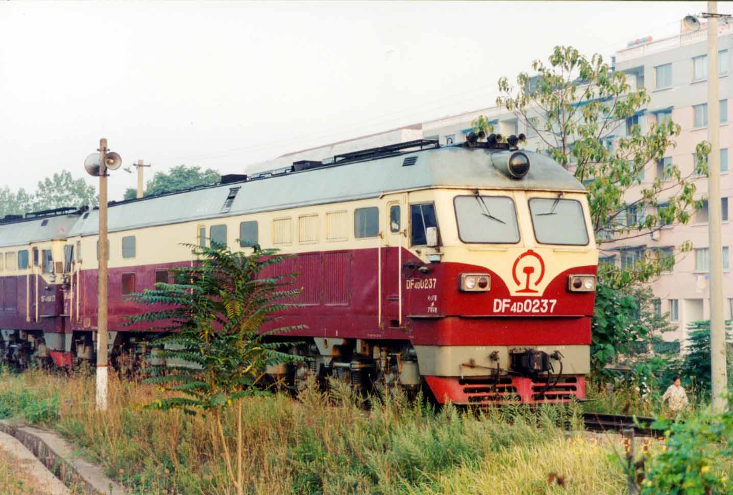 DF4D 0237.jpg