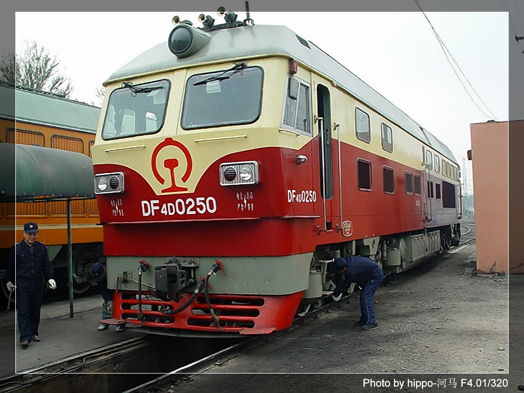 DF4D 0250.jpg
