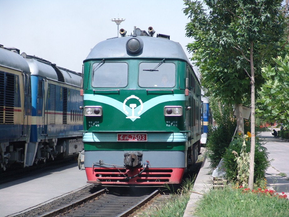 7503.JPG