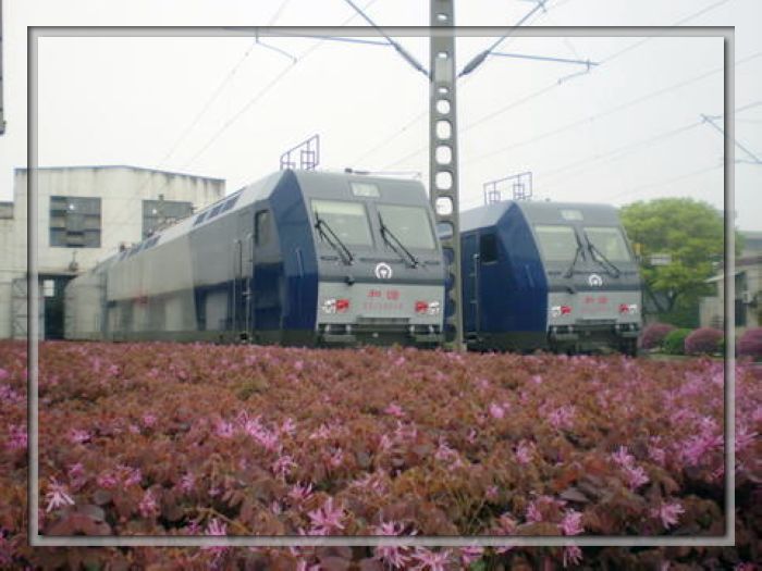 5f42cnb.jpg