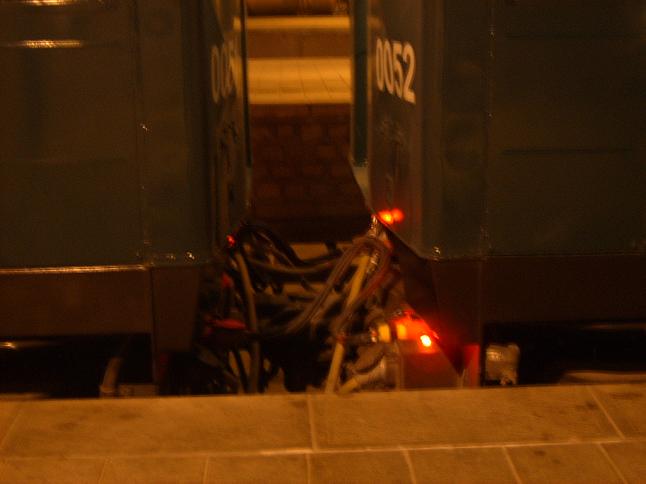 SUC55356.JPG