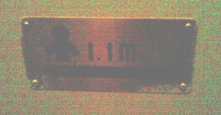 20090209(010).jpg