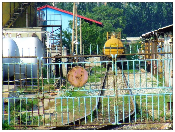 J_7451.jpg