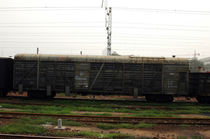 DSC_1171.jpg