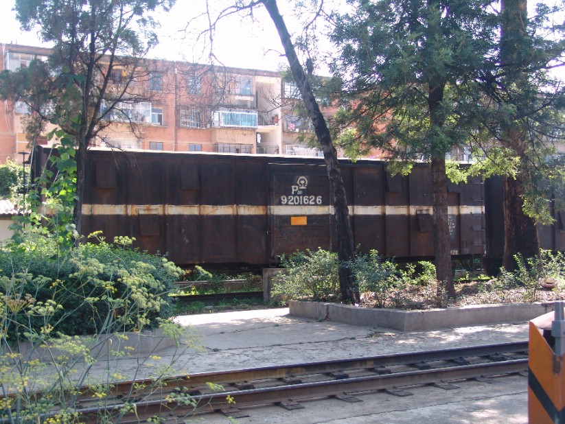 P30.JPG