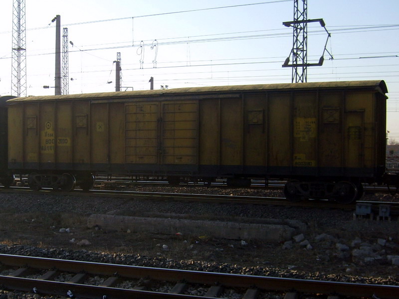 S6009726.jpg