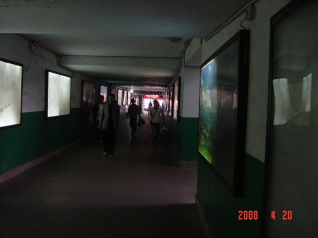 DSC01231.JPG