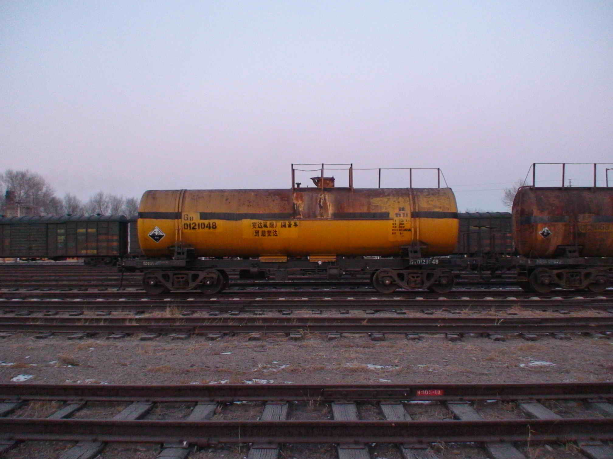 DSC01031.jpg