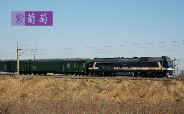 DSC_3663.jpg