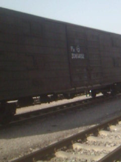 DSC_8544.jpg