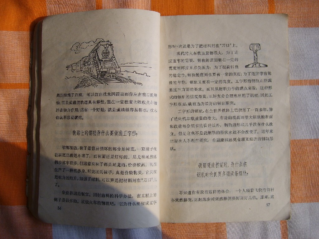 S6005055.JPG