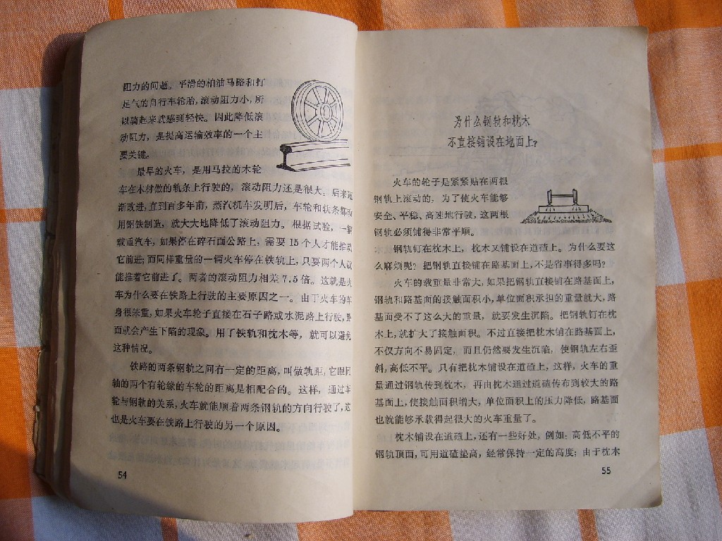S6005054.JPG
