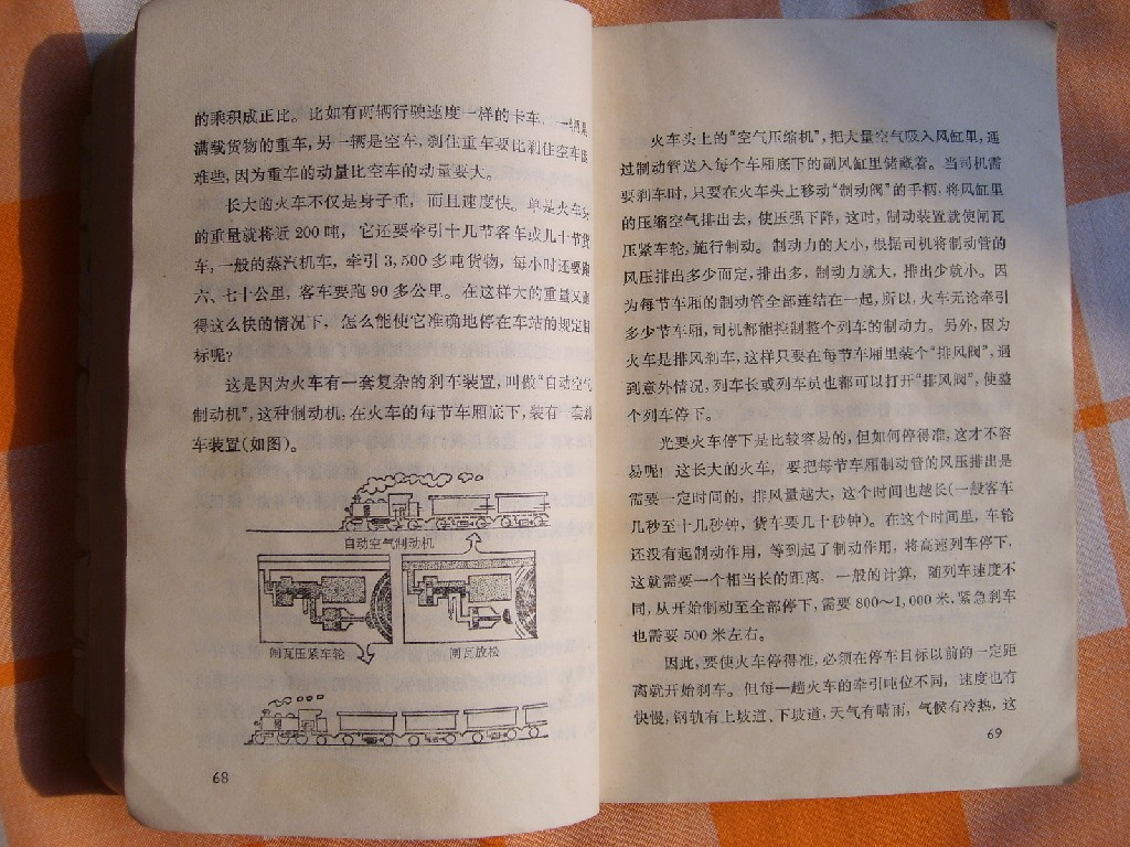 S6005061.JPG