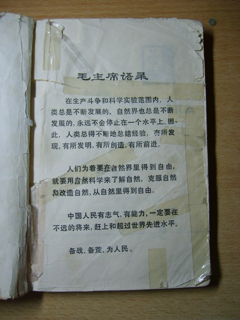 S6005066.jpg