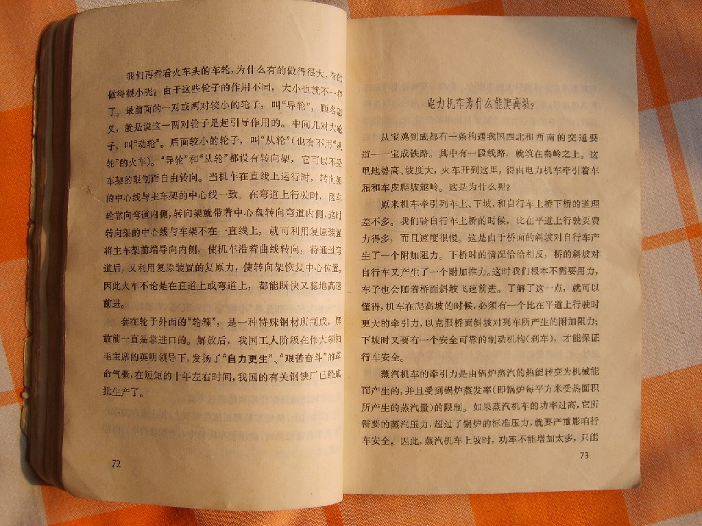 S6005063.JPG
