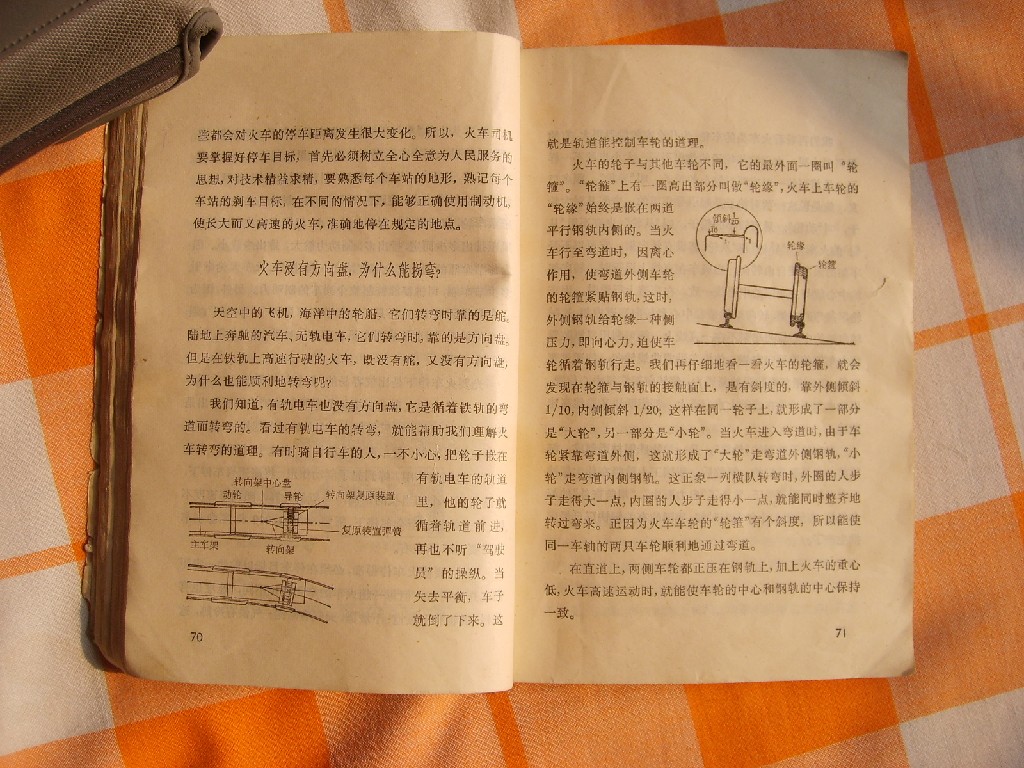 S6005062.JPG