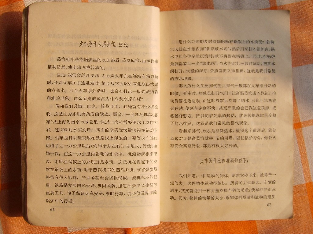 S6005060.JPG