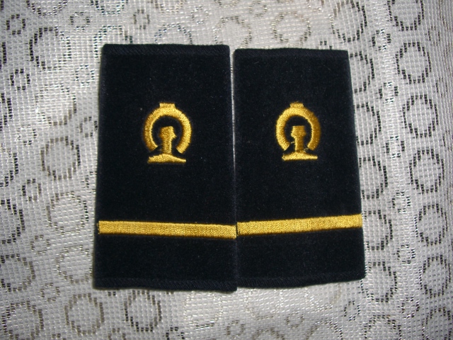 CIMG0503.JPG