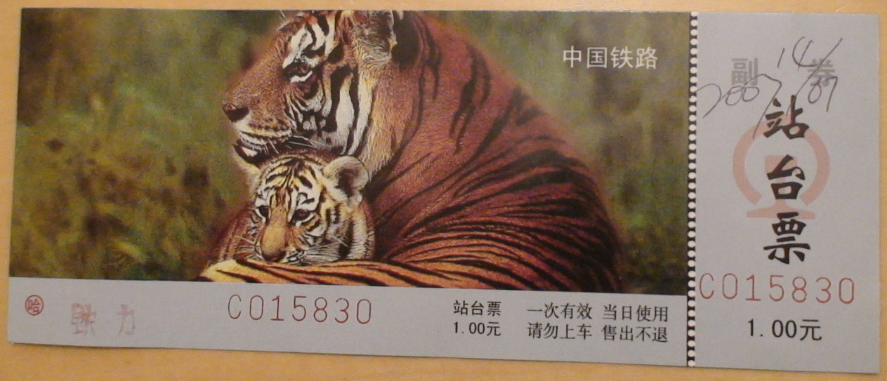 DSC01361.jpg