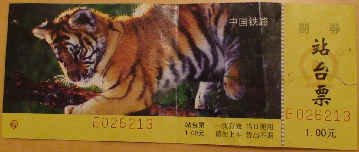 DSC01362.jpg