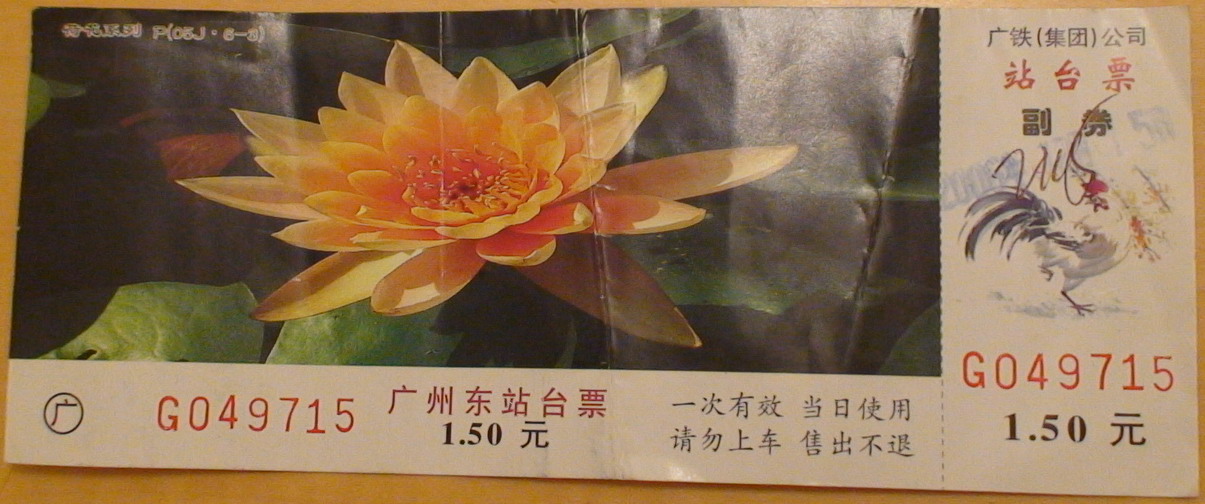 DSC01363.jpg