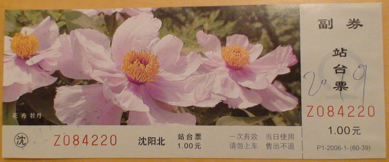 DSC01364.jpg