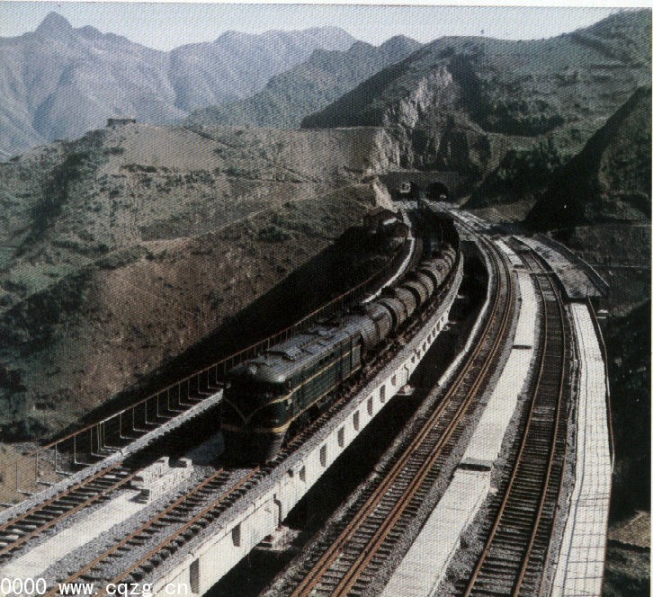 lzp1.jpg