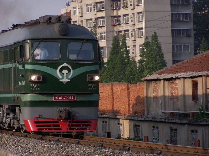 7341.jpg