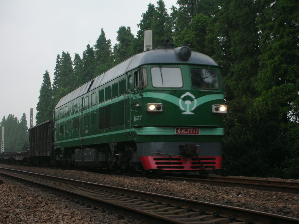 7717.jpg