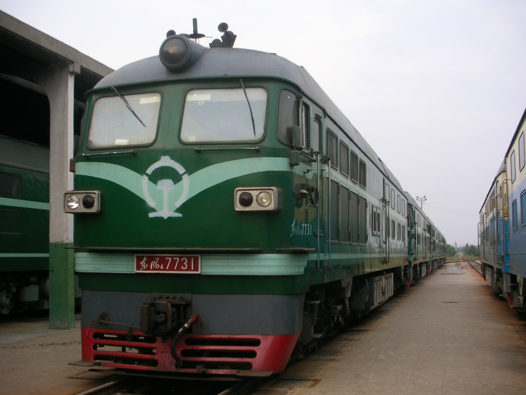 7731.jpg