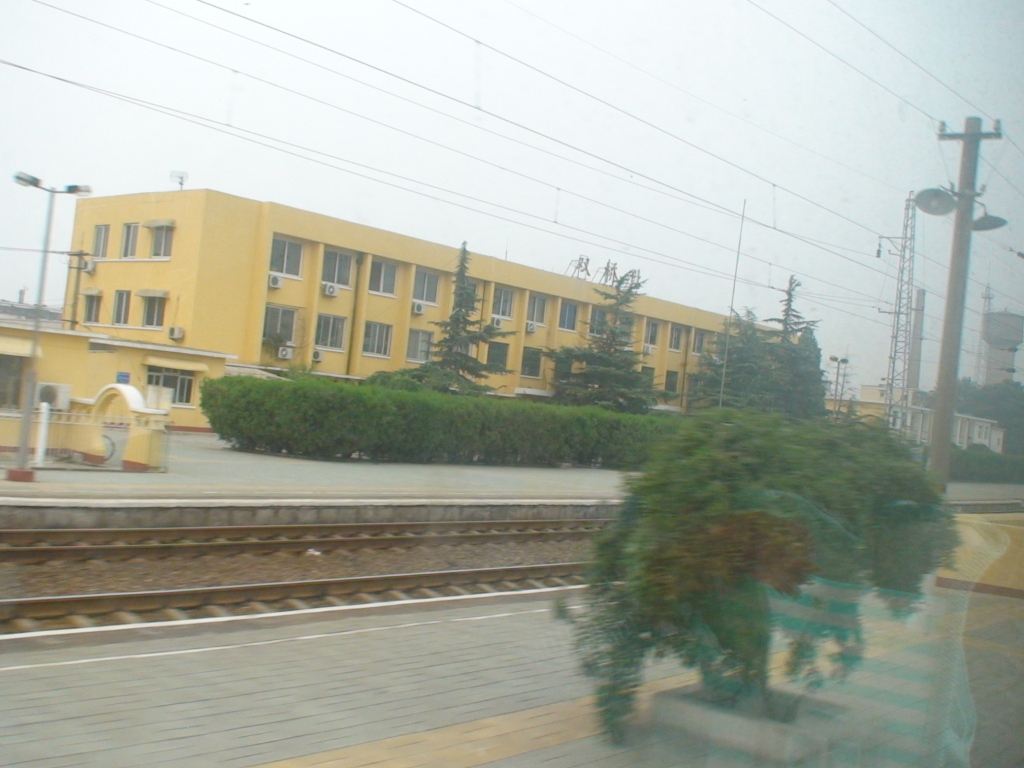 DSC01340.JPG