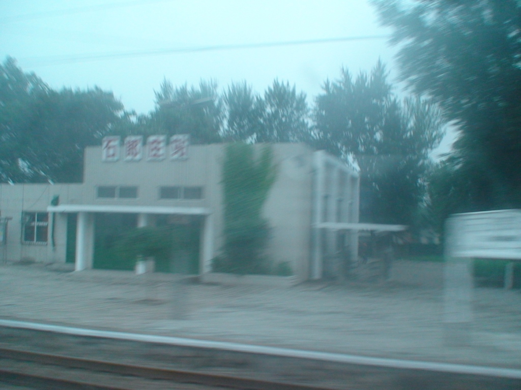 DSC01356.JPG