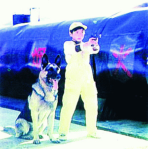0404D2.gif