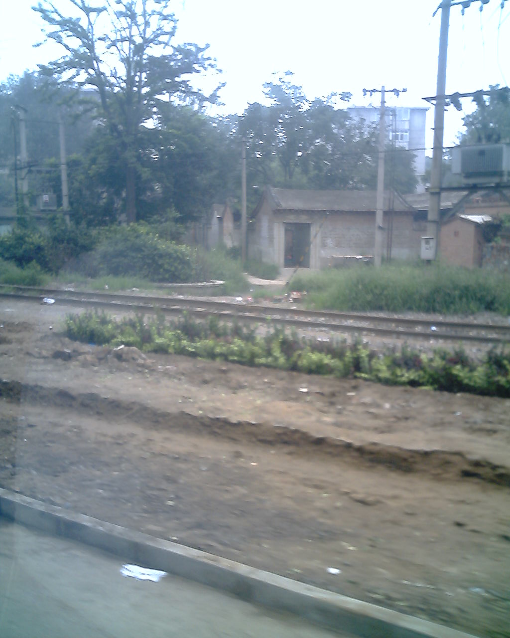IMG3199A.jpg