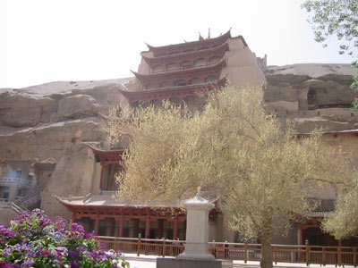 dh10.jpg