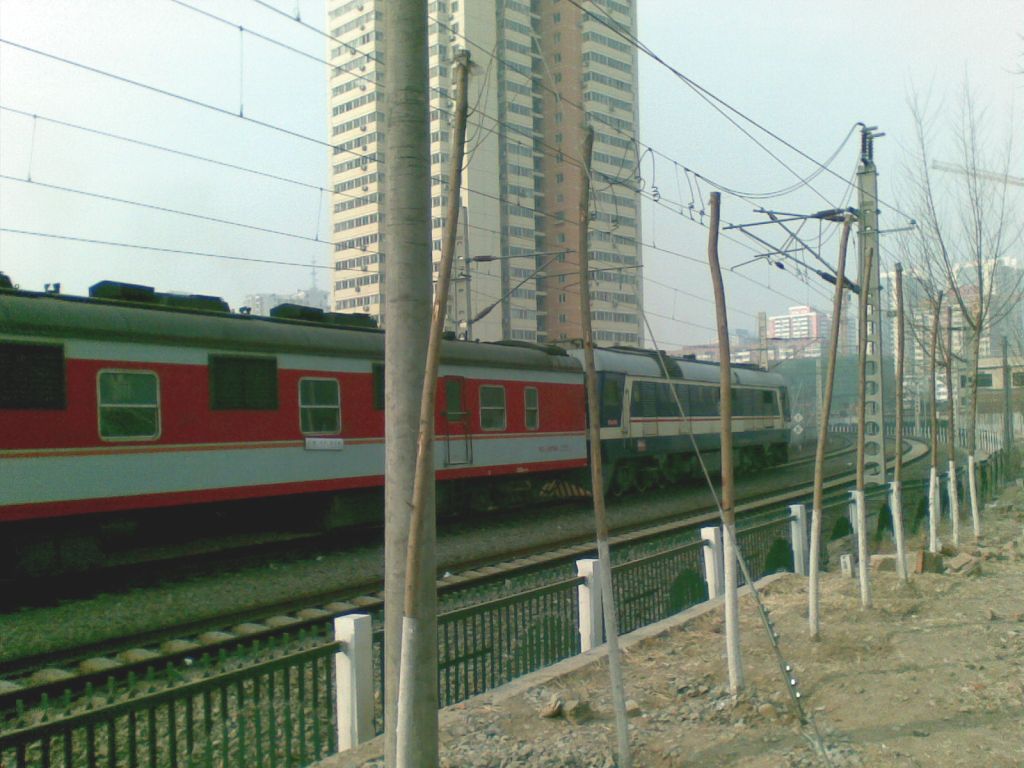 20090129(005).jpg