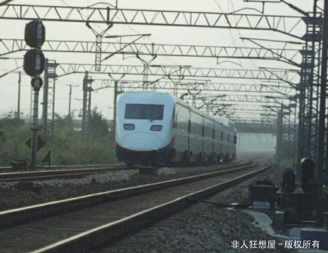大白鲨(1).jpg