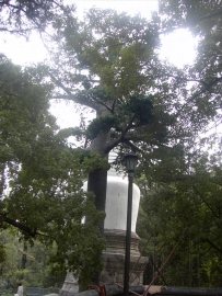 西北环线小游